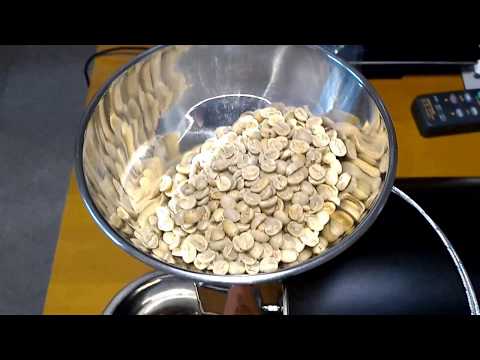 Kaldi Fortis overview