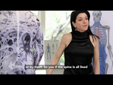 The mystery of chronic low back pain 🧐🤔