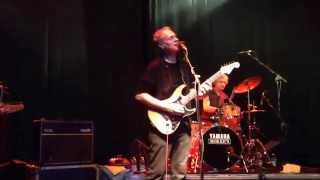 Television - Live in Milan June 3rd, 2014 - Little Johnny Jewel