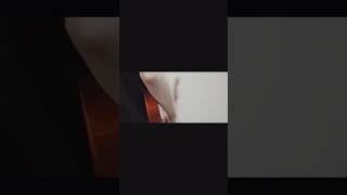 【#負け犬にアンコールはいらない】【#ヨルシカ】【#shorts】【#永久機関】 プロフよりYouTube fullへ飛べます！  #ヨルシカ  #初音ミク #anime #hatsunemiku