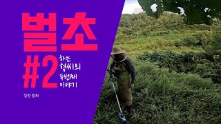 벌초 두번째 이야기 벌초방법 | 예초기 | 혼자서 효과적으로 벌초하기