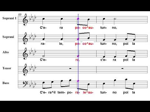 Carezze Tenori   ACR Chorus