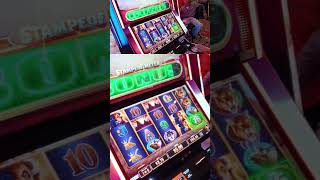 Buffalo Ultimate Stampede BIG WIN at South Point Casino 🎰💥 | Las Vegas Slot Action #Shorts #slot