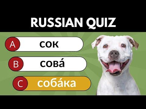Russian Language Test 🇷🇺 50 Basic Russian Words for Beginners