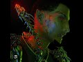 Comethazine Still A OG Remix Feat Lil Pump And Smokepurpp Audio