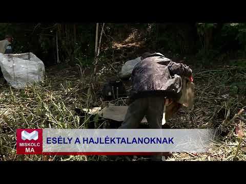 Videó előnézet