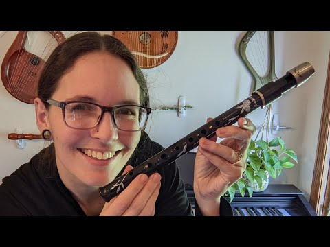 Tin Whistle, Recorder, or Whistlecorder? Hybrid Flute Unboxing and Review | HiXing Recorder Key of D