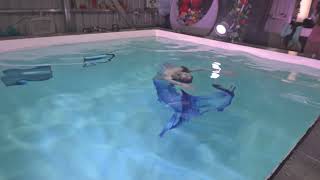 Download lagu 20250618 140123 富桂園水中攝影，藍孔雀美人魚 mp3