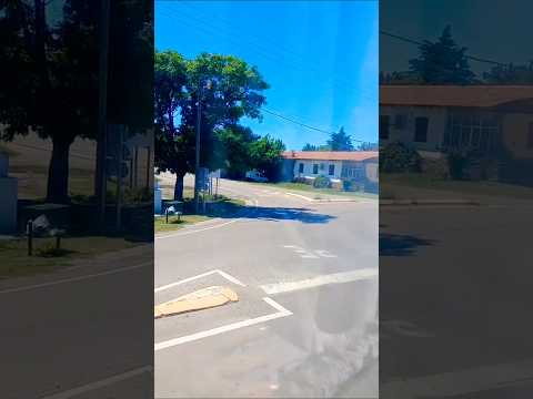 Taninga, Provincia de Córdoba, Argentina.#taninga