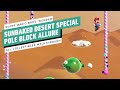Super Mario Bros. Wonder - Sunbaked Desert Special: Pole Block Allure (All Seeds and Big Coins)