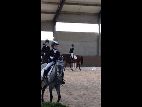 Channa und Speedy  schritt trab im strassen. 19 -10-2014