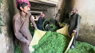 Satisfying Process of Grass Cutting