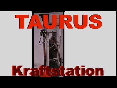 Taurus Kraftstation/TAURUS Kabelturm/Kabelzug/Seilzug/Home GYM/ Trainingsraum/Corona 3.0/Kraftsport