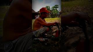 Download lagu Story WA Cak Nun Penderitaan Apapun Tidak Masalah #storybijak #sinaubareng #caknun mp3