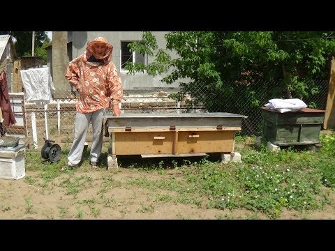 Апгрейд вентиляции на пасике Валентина