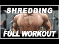 Shredding Vlog | PHYSIQUE UPDATE & WORKOUT
