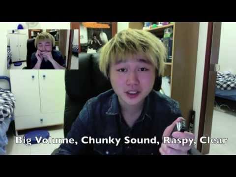 Lee Oskar Harmonica Review