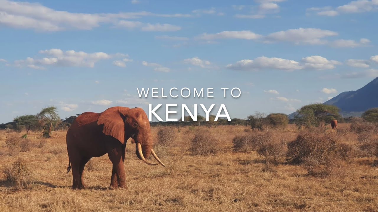 Gap year volunteering and adventure program to Kenya | the leap