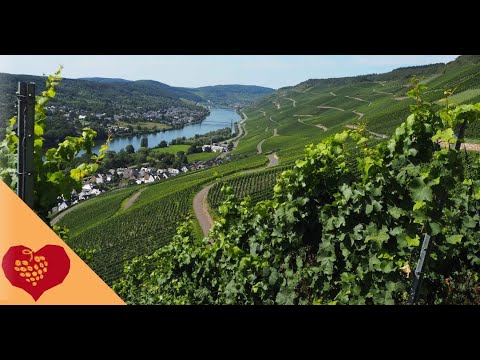Graach an der Mosel