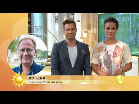 Sveriges dressyrlandslag till OS: "Helt undebart" - Nyhetsmorgon (TV4)
