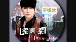 王绎龙 (dj Sunny) - 累啊累 (Lei A Lei) 新歌2010DJ舞曲！
