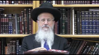 הגאון הרב אברהם יוסף שליט"א שואלים בהלכות פסח קודם לפסח שלושים יום (הערוץ של הרב אברהם יוסף) - התמונה מוצגת ישירות מתוך אתר האינטרנט יוטיוב. זכויות היוצרים בתמונה שייכות ליוצרה. קישור קרדיט למקור התוכן נמצא בתוך דף הסרטון