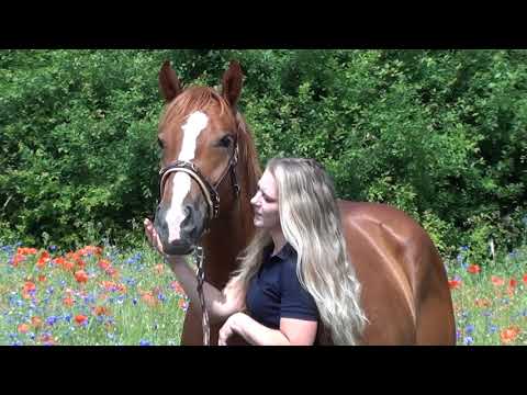 MUSTANG MAKEOVER 2018 Team Anja (TAG 3979) - Update 5