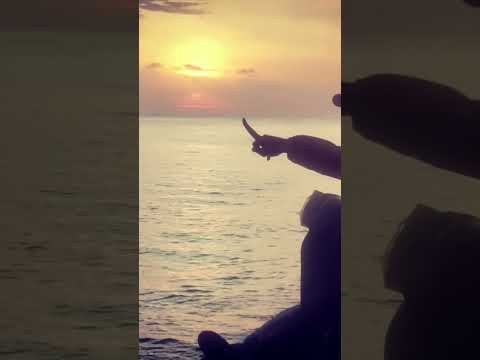 Pantai Cahaya Negeri, Port Dickson #visitportdickson2026 #negerisembilan