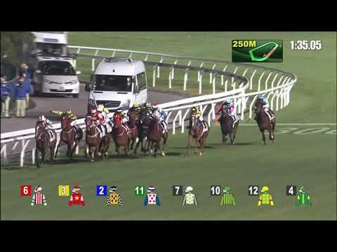 1/12/2021 (218) Super Hong Kong - J Moreira