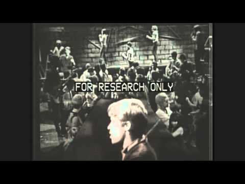 Don Grady on Hollywood A Go Go