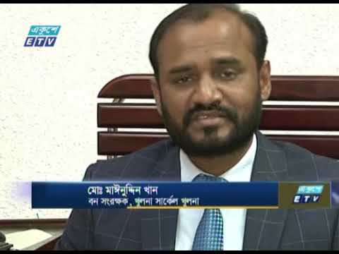 সুন্দরবন সুরক্ষায় প্রকল্প নিয়েছে বন বিভাগ | ETV News
