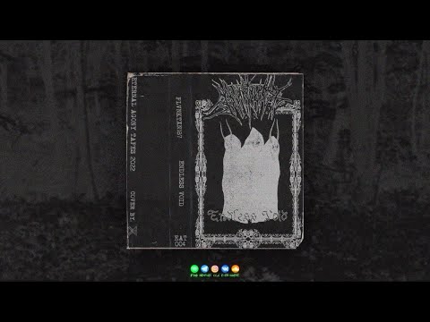 PLVNKTXN187 - ENDLESS VOID [2022] [TAPERIP]