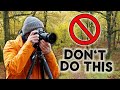 Why your Woodland Photos DON'T WORK