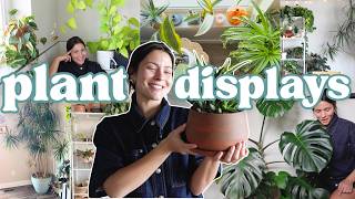 My best houseplant displays and setups 