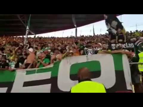 Invasao a lixeira, Juveleo 💚🇵🇹💚