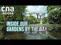 How To Upkeep A Scenic Paradise | Inside Our Gardens By The Bay | Full Episode