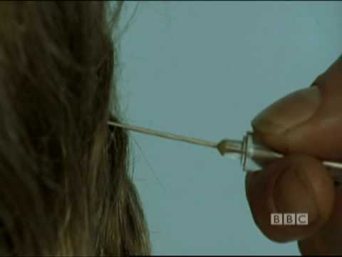 Look Around You: Brain