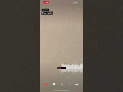 Ray Rizzle Butterflies 🦋  l Official Audio l