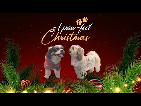 A Paw-fect Christmas!