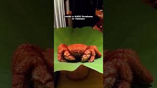 This Is the Vietnam You Don’t See