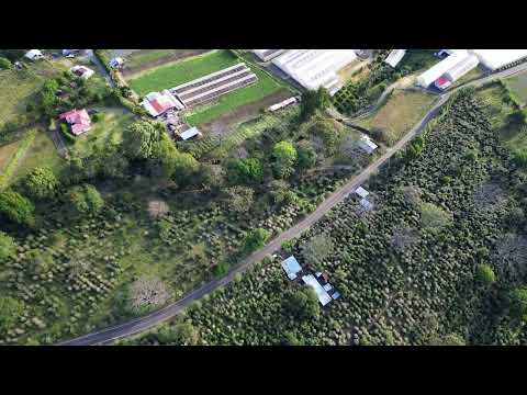 Coffee Farm with Geisha & Laurina for Sale – Boquete, Panama