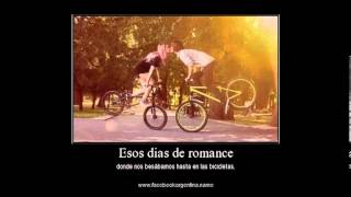 Porta-Querida Alma Gemela