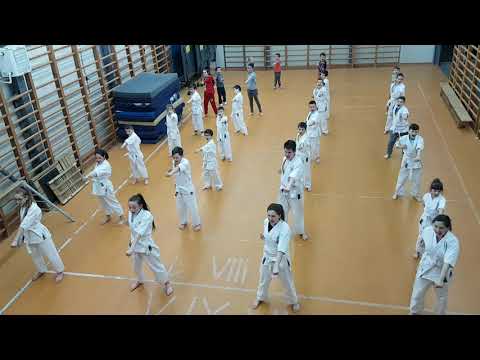 Senshi Karate Kyokushin Pipirig Neamt