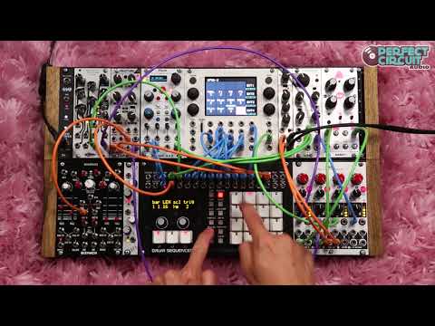 Erica Synths Drum Sequencer image 2
