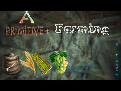 Ark #3 Farming(Primitive Plus)[XboxOne]