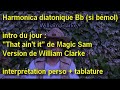 Interprétation avec tablature de "That ain't it"  de Magic Sam, version de William Clarke