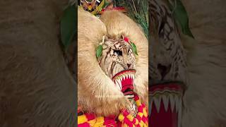 Download lagu Detik Detik Reog Ponorogo Numplek👹#reogponorogo #jaranan #shorts #feedshorts #dadakmerak #shortsfeed mp3 Download lagu Detik Detik Reog Ponorogo Numplek👹#reogponorogo #jaranan #shorts #feedshorts #dadakmerak #shortsfeed mp3