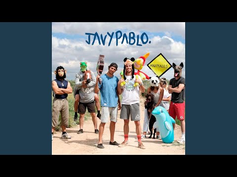 Animales video