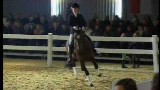 Video af Fs Dr Watson