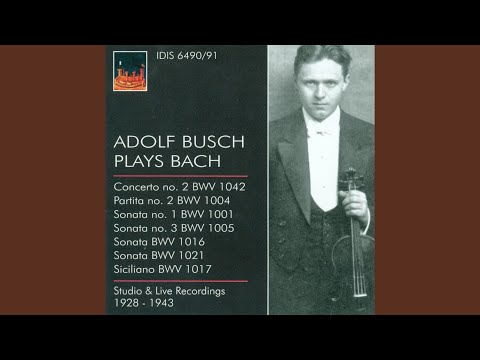 Violin Partita No. 2 in D Minor, BWV 1004: V. Ciaccona